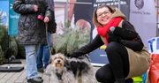 Bydgoszcz: Setki darów dla schroniska podczas akcji "Karma wraca"