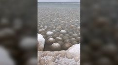 Lodowe kule w jeziorze. Niezwykłe zjawisko w USA