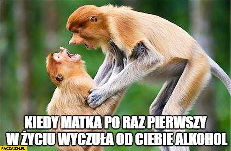 Memy na Dzień Matki 2024 (Internet)