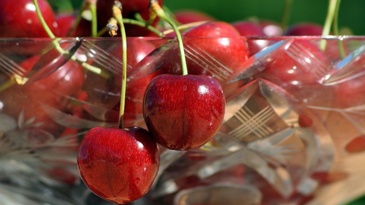 Ile zapłacimy za czereśnie w tym roku?