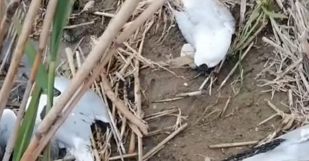 "Co się dzieje?". Przykry widok w Nielbarku