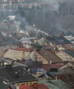 Zakaz palenia węglem w Polsce. Oto miasta, w których jest to nielegalne