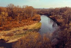 Wrocław. Dźwiękowy Szlak Odry. Posłuchaj, jak brzmi rzeka