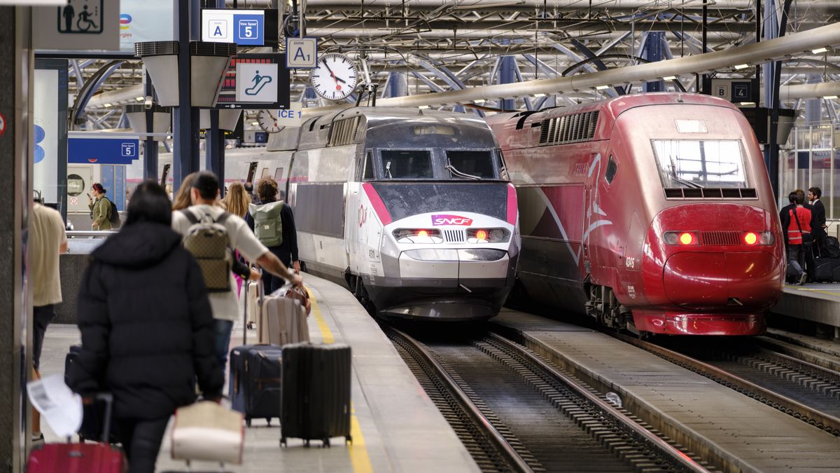 Czy pasażer musi podawać swoją płeć przy zakupie biletu?