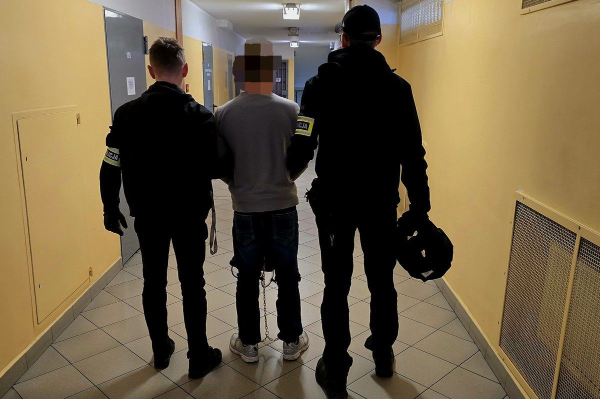 Śląskie. Areszt po kradzieży rozbójniczej i ataku na policjantów