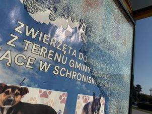 Wandale nie odpuszczają. Zbita szyba na przystanku w gminie Słupno