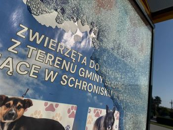 Wandale nie odpuszczają. Zbita szyba na przystanku w gminie Słupno
