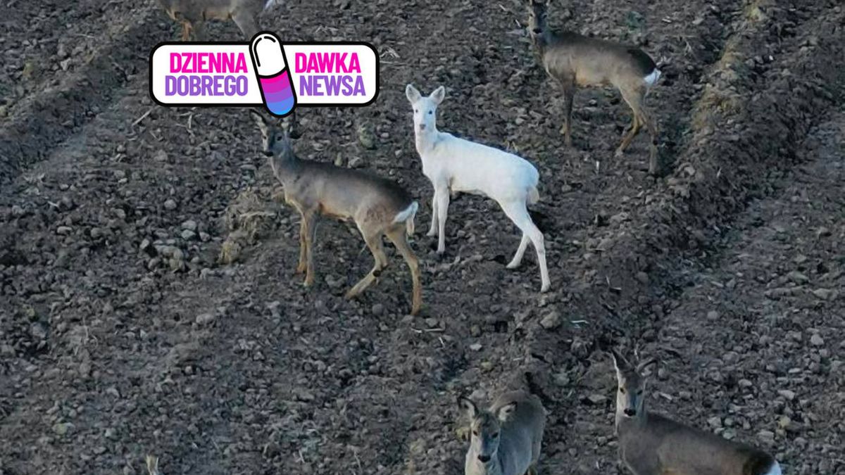 Niezwykłe spotkanie na Podkarpaciu