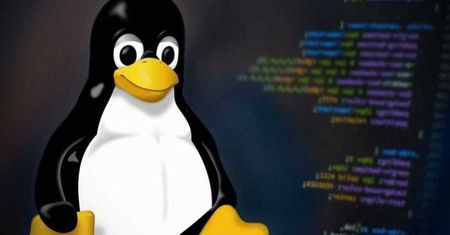 Linux obchodzi 30. urodziny – sukces systemu w dużej mierze zależał od jednej decyzji