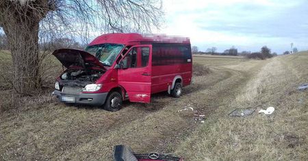 Wypadek w Gołębiu. Bus z 13 pasażerami wypadł z drogi. Dwie osoby w szpitalu (zdjęcia)
