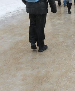 Lodowy armagedon. Gołoledź zamknęła szkoły, stanęły autobusy