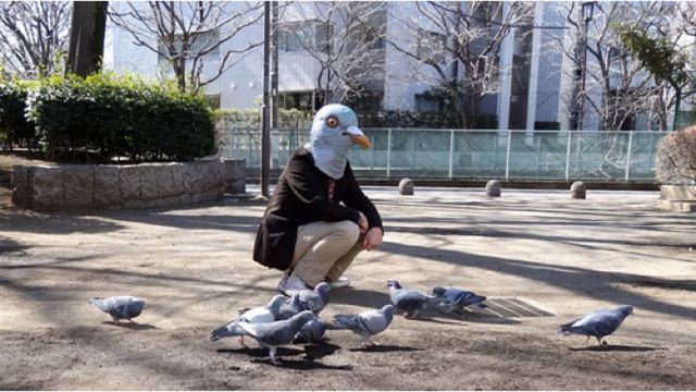 WTF dnia: to ludzie czy wielkie ptaszyska? Japończycy strollowali Google Street View 4