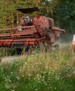Tak rolnicy "oszczędzają" czas. Grożą za to wysokie mandaty