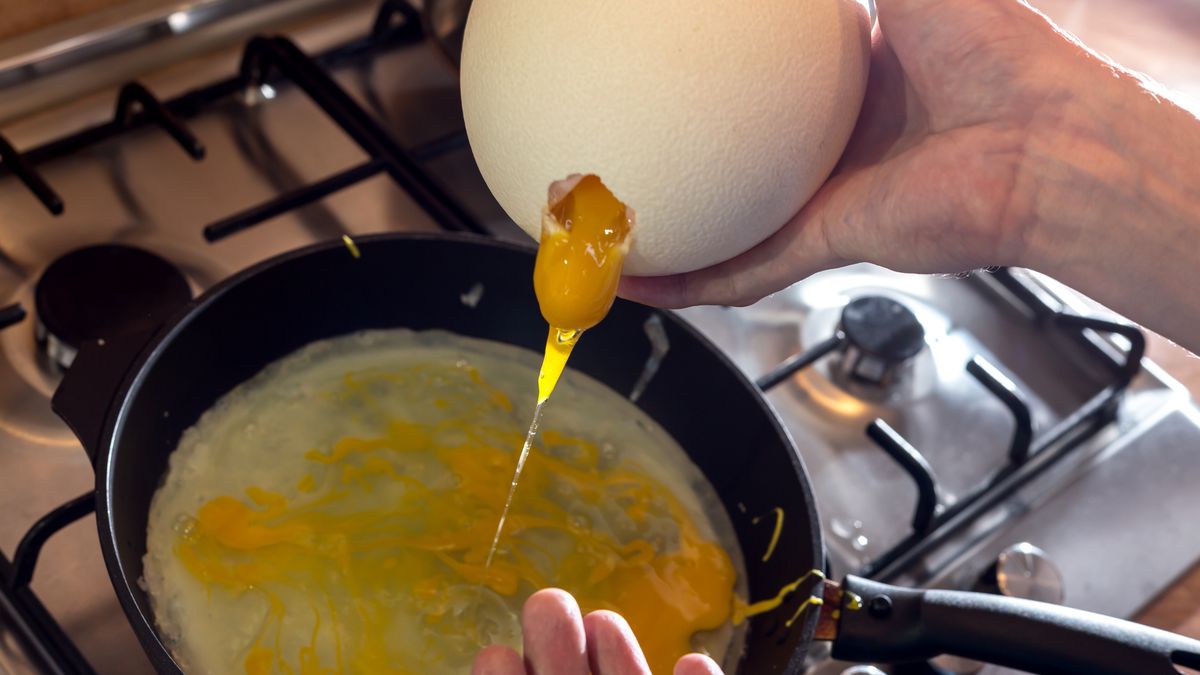 Jajo strusia może ważyć nawet 2 kg