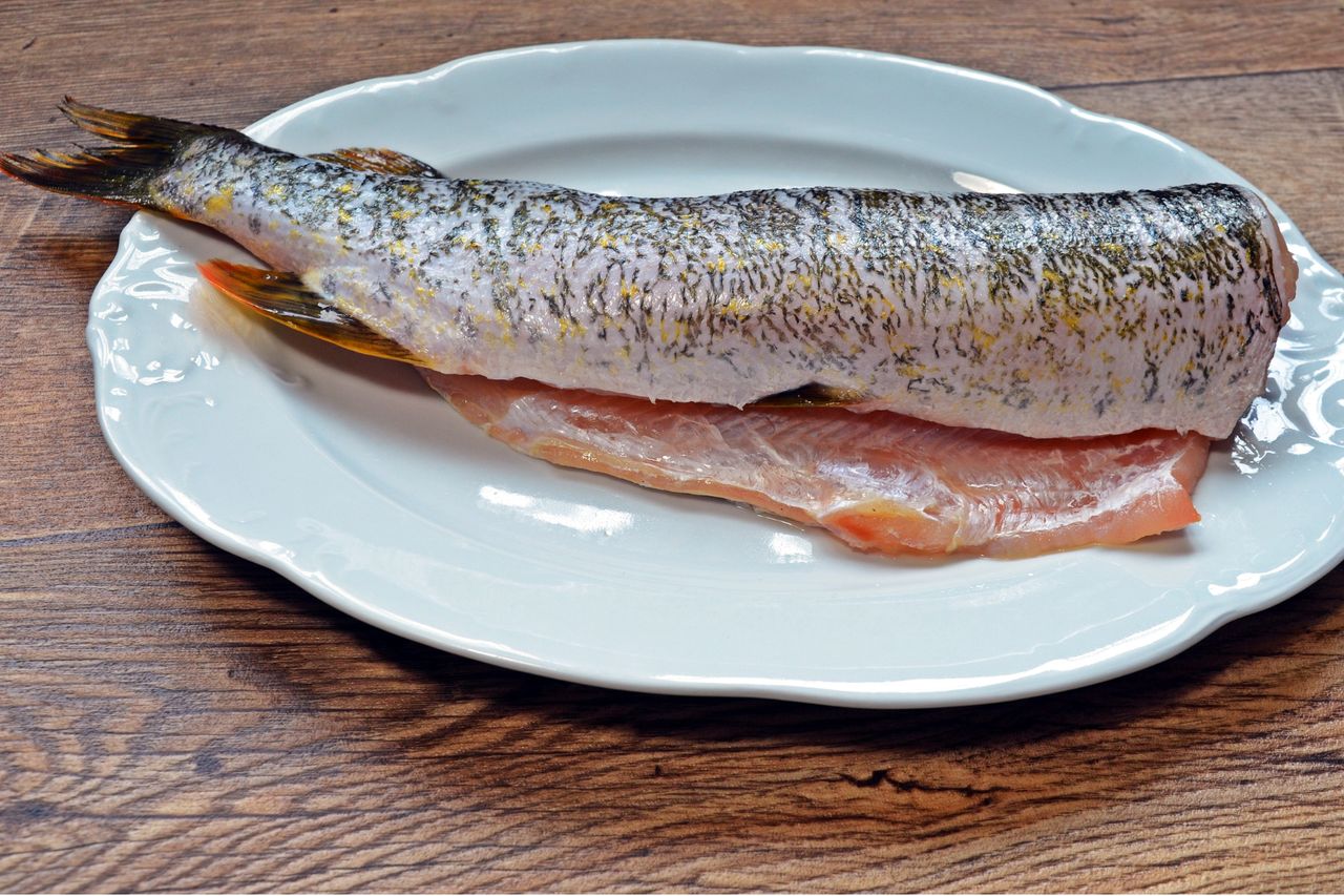 Pike: A culinary and angling treasure in culinary tradition
