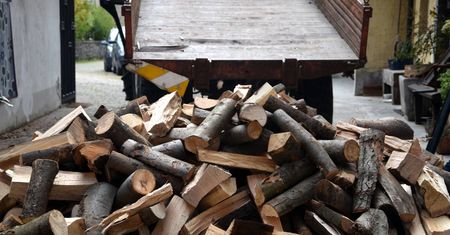 Drewno na opał. Jaki gatunek wybrać i ile kosztuje ogrzewanie domu?