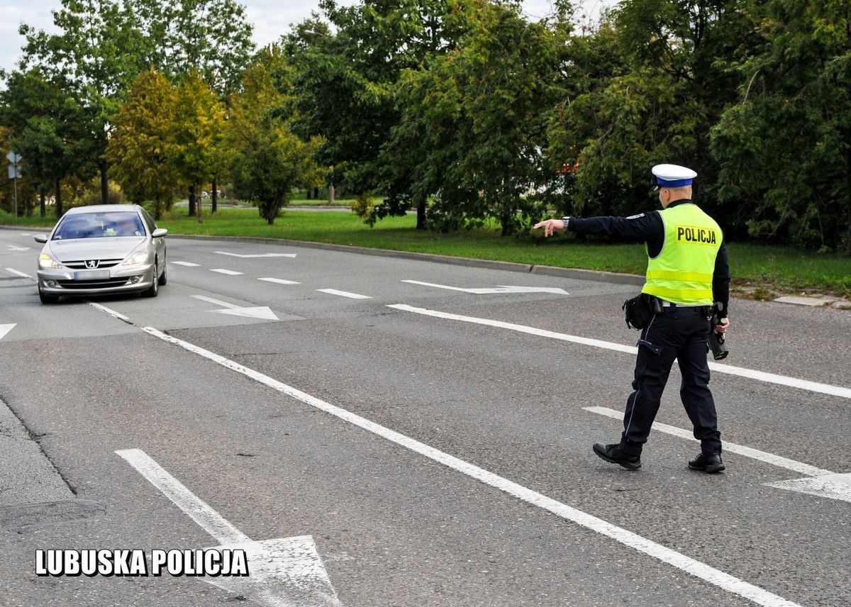 Zdjęcie poglądowe