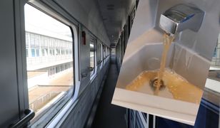 Pasażer był w szoku. To, co zobaczył w pociągu go obrzydziło