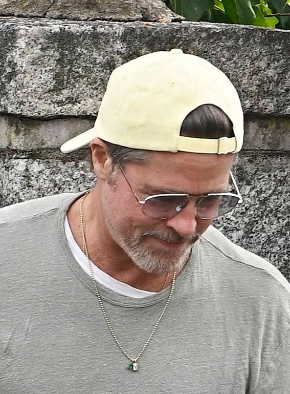 Brad Pitt 