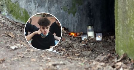 Wpadł wózkiem inwalidzkim w krzaki. 16-latek z Niemiec nie żyje