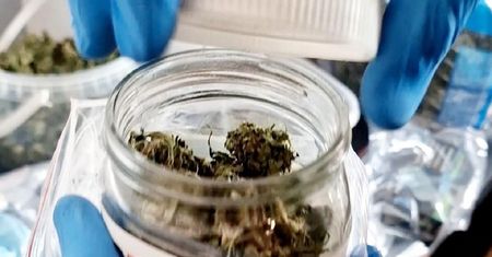 Amfetamina, marihuana, skradzione części i zakaz prowadzenia pojazdów. Mnóstwo zarzutów dla 42 latka
