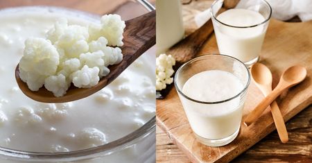 Domowy kefir - jak zrobić zdrowy i pyszny napój probiotyczny w swojej kuchni