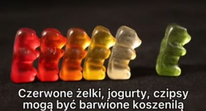 Koszenila - Pyszności; Foto: kadr z materiału na kanale YouTube mkrzaczkowski