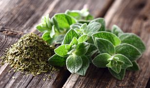 Oregano – wartości odżywcze, właściwości i zastosowanie