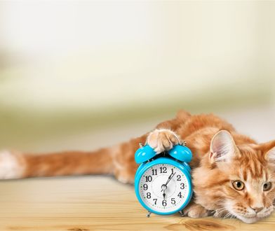 Zmiana czasu z zimowego na letni 2020. Kiedy ostatnia zmiana czasu?