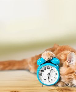 Zmiana czasu z zimowego na letni 2020. Kiedy ostatnia zmiana czasu?