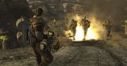 Galeria - Fallout: New Vegas