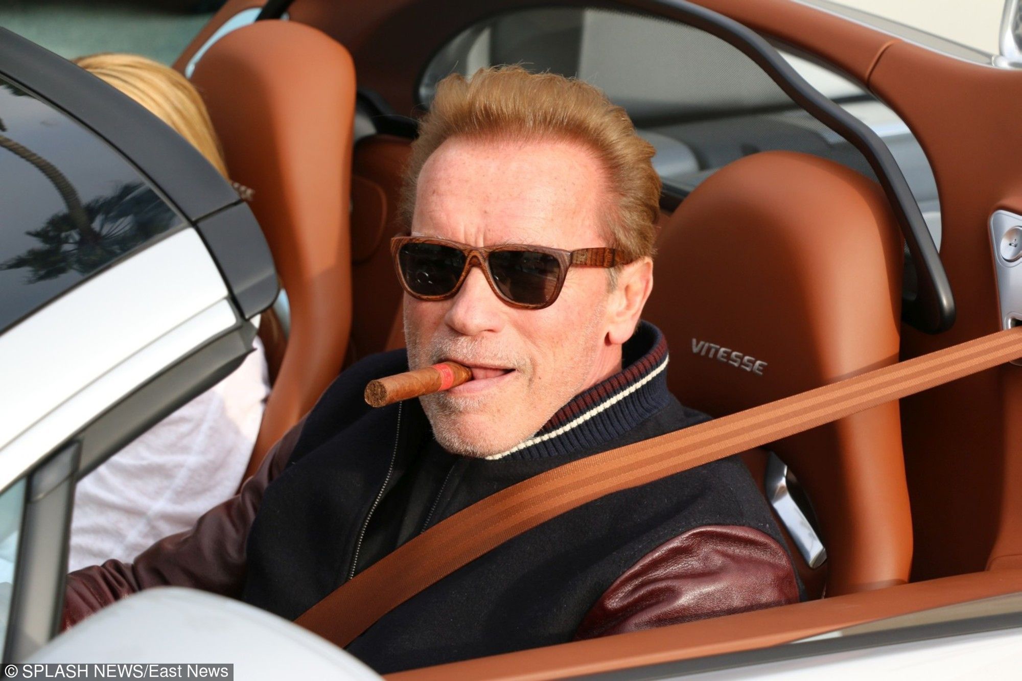 Schwarzenegger 