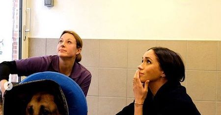 Księżna Meghan nadal wykonuje swoje obowiązki. Dotrzymała słowa