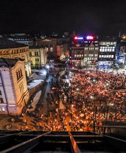 Norwegowie domagają się odstrzału wilków. Duża demonstracja pod parlamentem