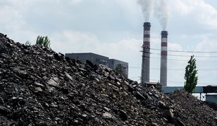 Normy dla węgla - na polskim rynku nadal będzie królował opał najgorszej jakości. Co na to ekolodzy?