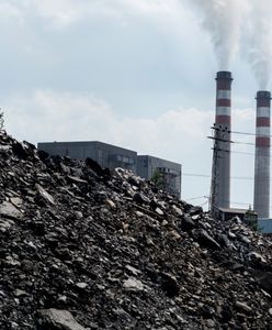 Polska z antynagrodą na COP24. Zostaliśmy "Skamieliną Roku"