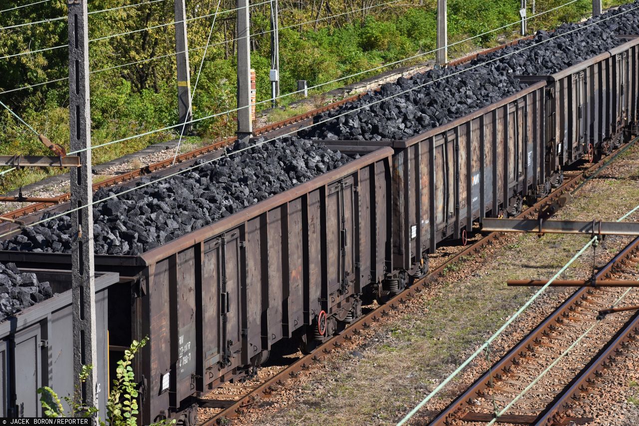 BlackRock zarabiał na węglu miliony dolarów. Spółka zapowiedziała, że wycofuje się z nieekologicznych działań