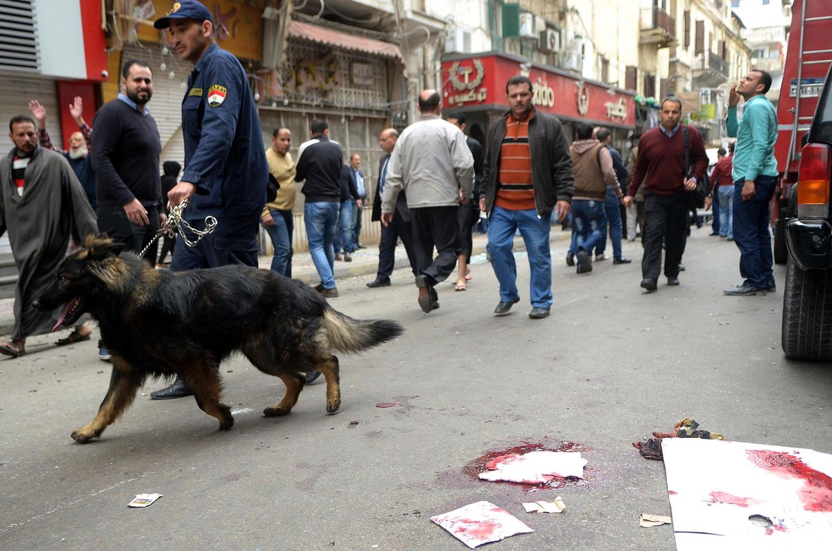 Egipt: policja zabiła siedmiu członków Państwa Islamskiego