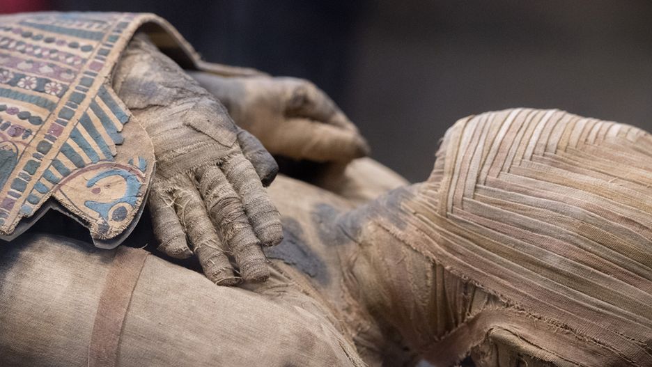 Archeolodzy znaleźli kolekcję bezcennych sarkofagów, mumii, biżuterii i wykonanych z drewna masek pogrzebowych