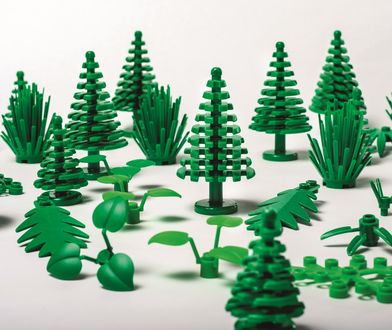 Klocki z trzciny cukrowej. LEGO rusza z produkcją