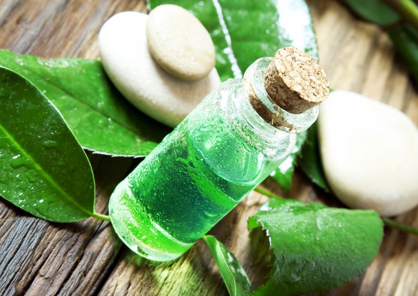 Olejek z drzewa herbacianego to skarbnica zdrowia