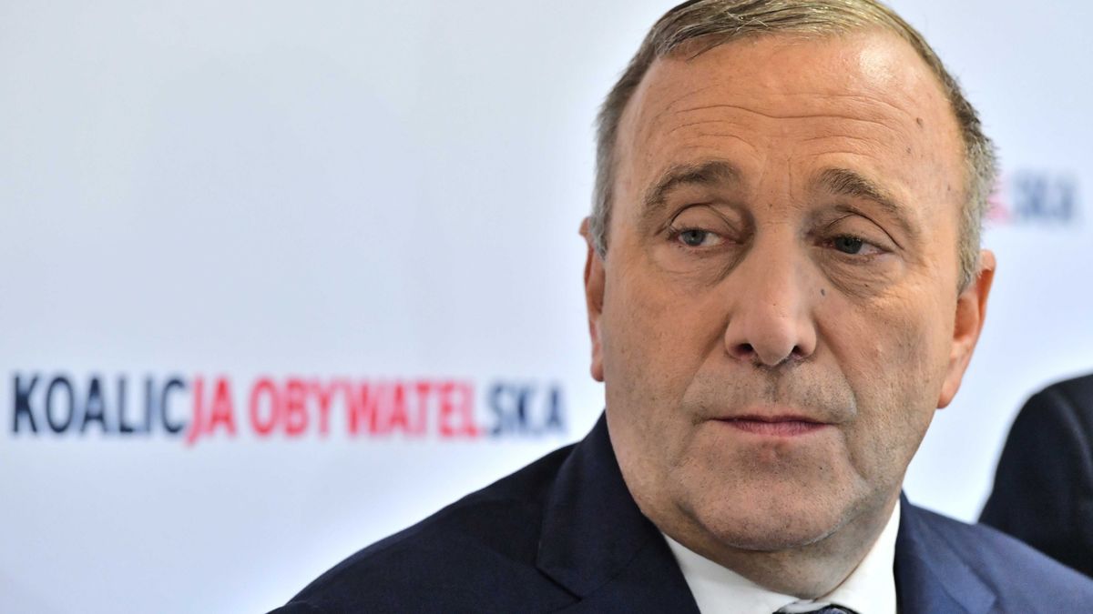 Szef PO Grzegorz Schetyna