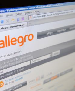 TOP 10 najdziwniejszych aukcji internetowych. Nie uwierzysz, co ludzie sprzedają na Allegro