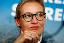 AfD w Bundestagu będzie wyzwaniem dla wszystkich demokratów