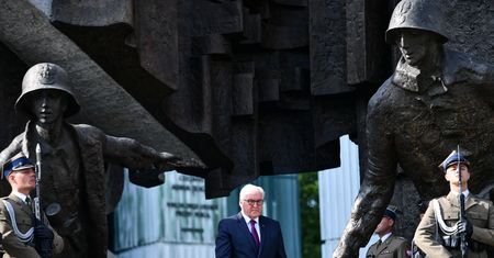 Rządowi PiS się oberwało. "Dobitne słowa" prezydenta Niemiec