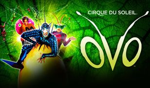 Dodatkowy spektakl "Ovo" grupy Cirque du Soleil