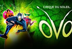 Dodatkowy spektakl "Ovo" grupy Cirque du Soleil