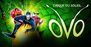 Dodatkowy spektakl "Ovo" grupy Cirque du Soleil