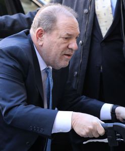 Harvey Weinstein liczy na krótką odsiadkę. Grozi mu 29 lat