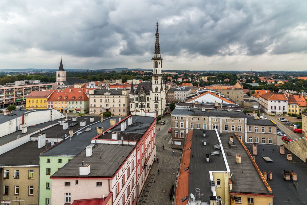 Co łączy Dolny Śląsk i monstrum z filmów grozy. Historia prawdziwa